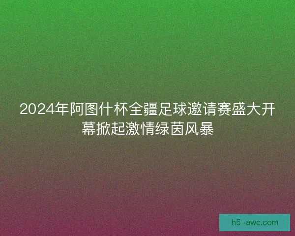 2024年阿图什杯全疆足球邀请赛盛大开幕掀起激情绿茵风暴